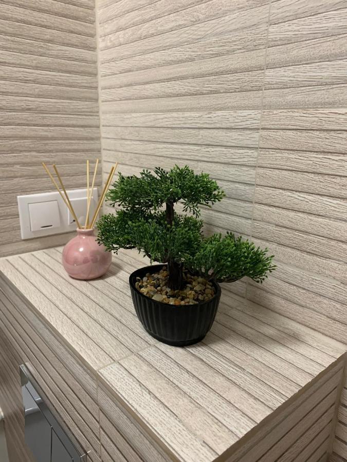 Holiday Apartment سيبيو المظهر الخارجي الصورة
